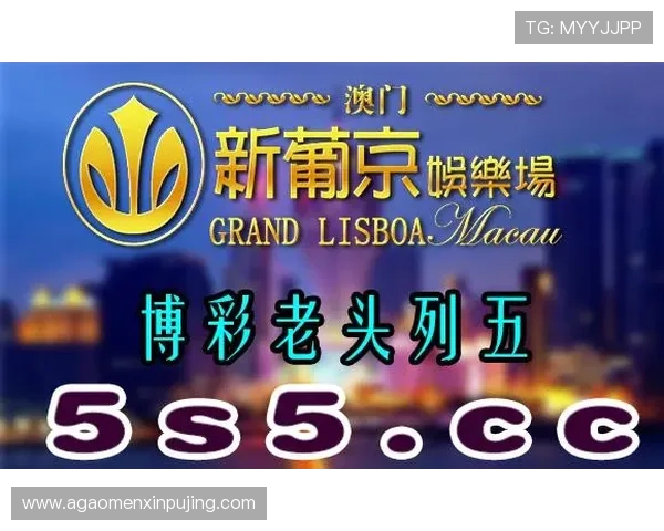 新葡京娱乐城网址官方入口2026年最新稳定登录地址推荐与安全保障
